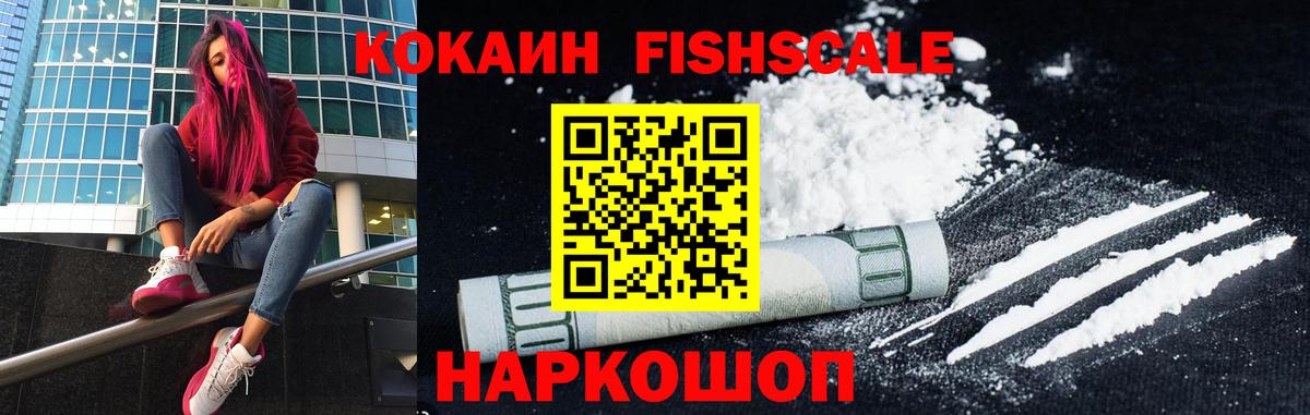 COCAIN Fish Scale  КОКАИН Fish Scale  Вход с VPN  Вологда 