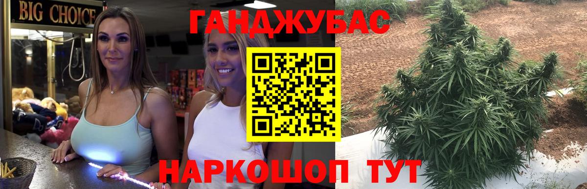 Канабис Bruce Banner  Вход с VPN  Бошки марихуана ГИДРОПОН  Вологда  Бошки марихуана гибрид 